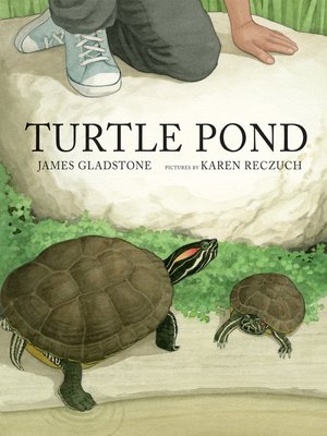 cover image of Turtle Pond
